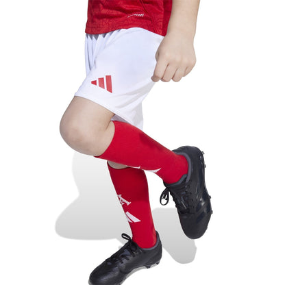 Arsenal Home Mini Kit 2025 2026 Infants