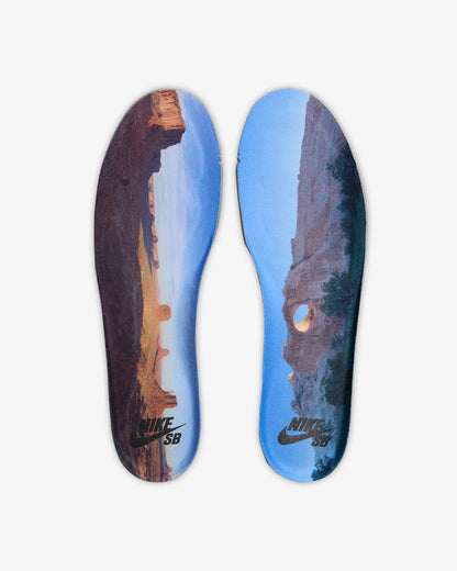 Nike SB Dunk High